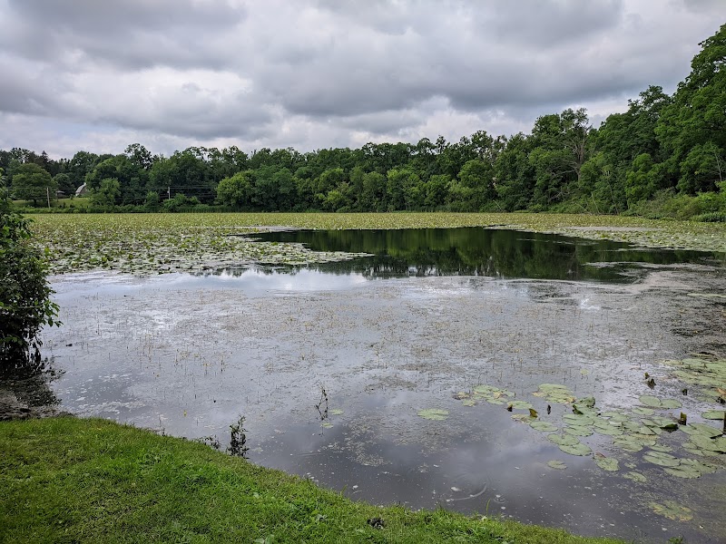 Exploring the Wonders of Columbia Reservation - Columbia Reservation