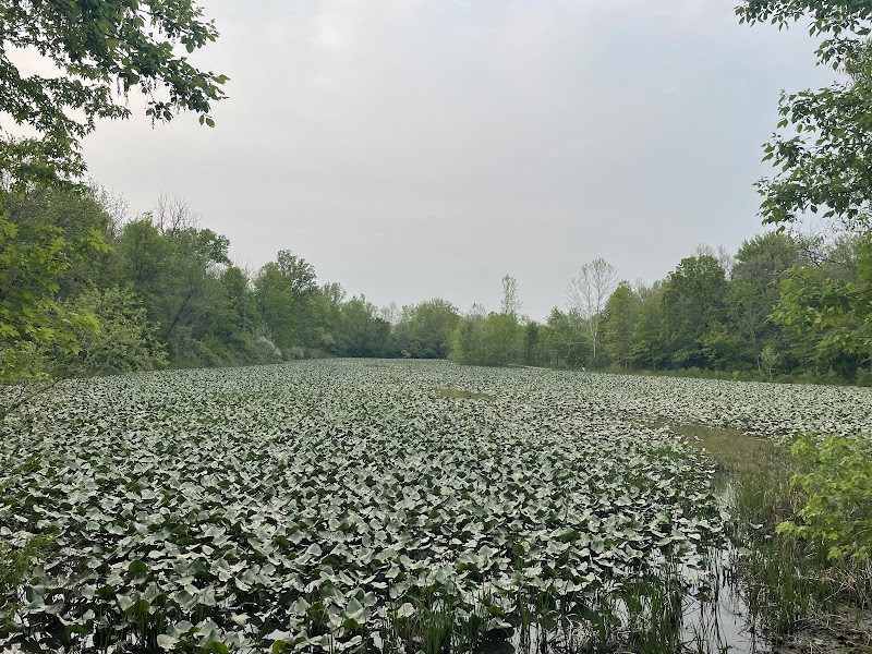 Exploring the Wonders of Columbia Reservation surrounding landscape