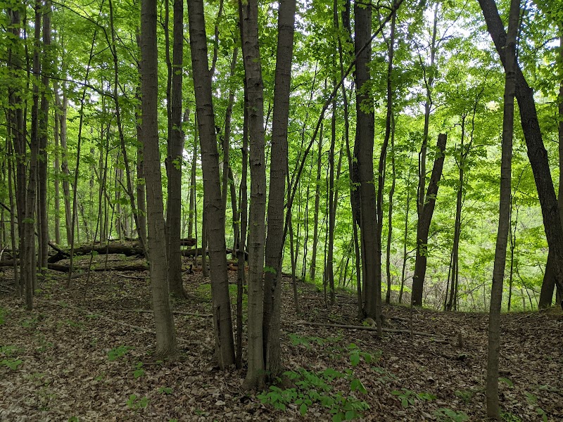 Exploring the Wonders of Columbia Reservation outdoor detail