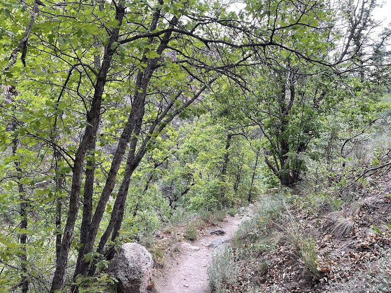 Discover the Serenity of Upper Frijoles Falls outdoor detail