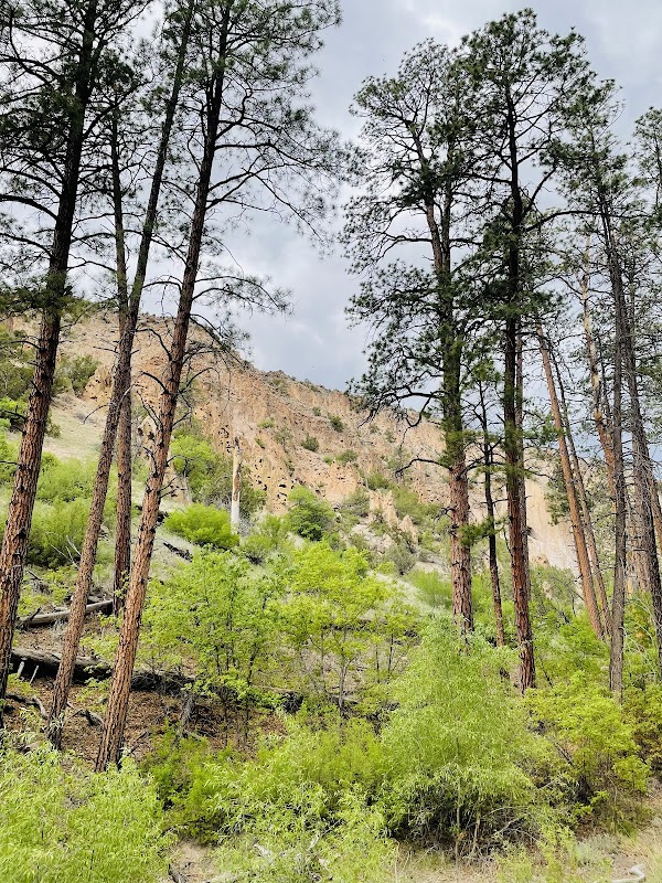 Discover the Serenity of Upper Frijoles Falls - Upper Frijoles Falls