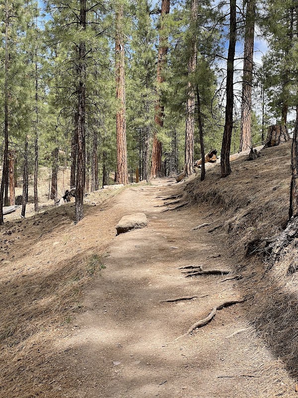 Discover Jemez Falls Trailhead outdoor detail