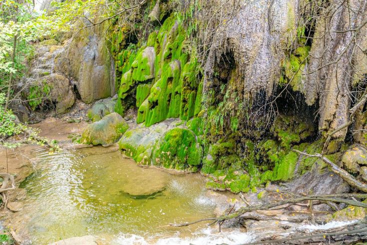 Nature's Adventure at Colorado Bend State Park - Colorado Bend State Park