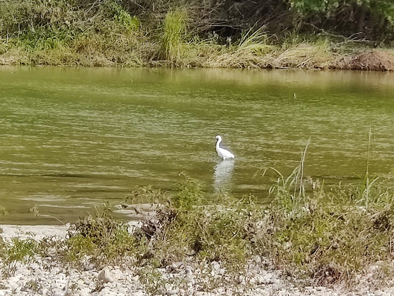 Water Wonders at Lower McKinney Falls - Lower McKinney Falls