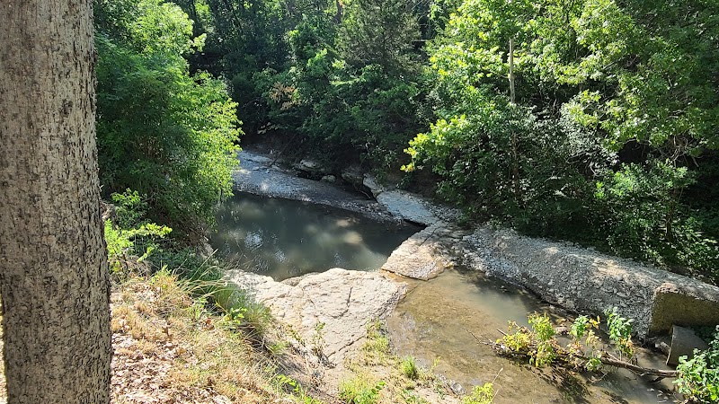 Cascading Beauty at Prairie Creek Waterfall surrounding landscape