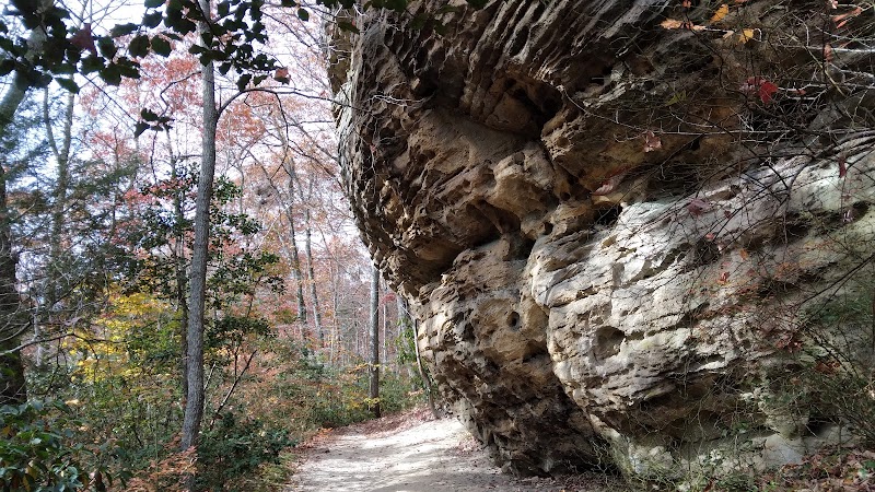 Natural Arch Scenic Area: A Marvel of Kentucky outdoor detail