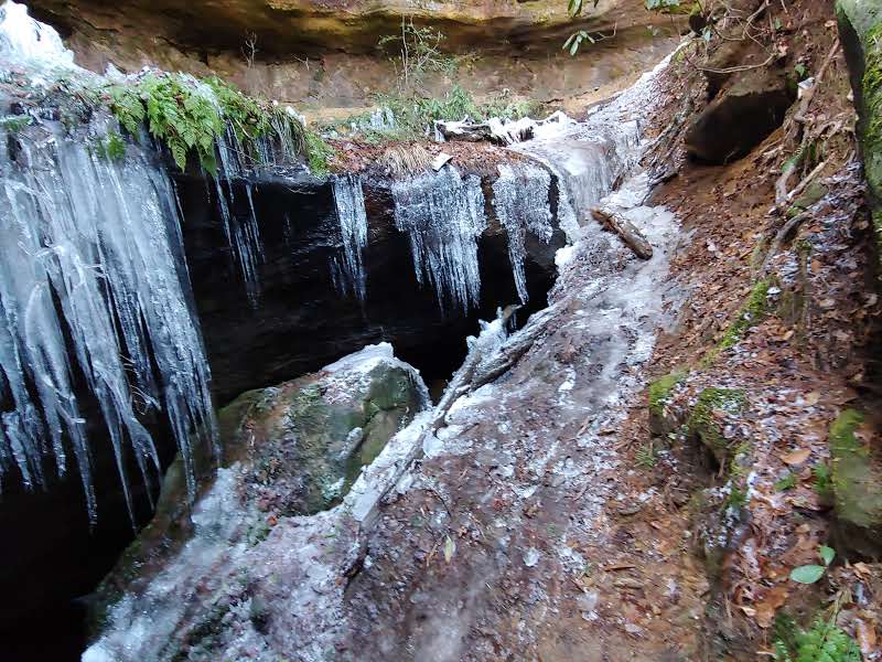 Discover Silvermine Arch: A Natural Wonder in Pine Ridge, KY surrounding landscape