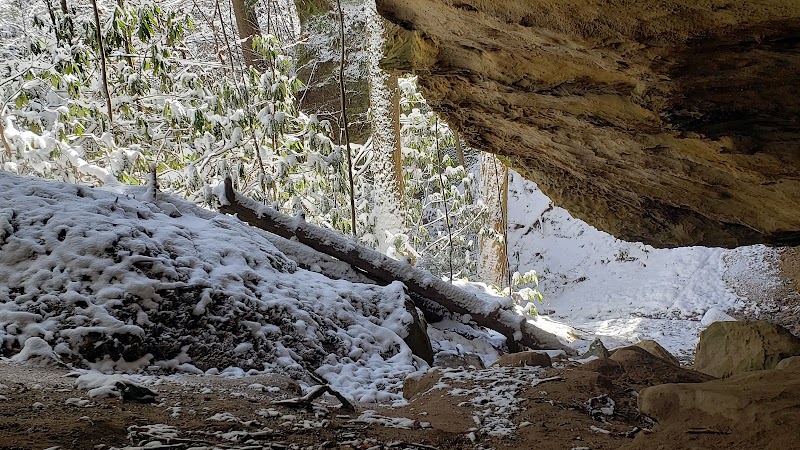 Discover Silvermine Arch: A Natural Wonder in Pine Ridge, KY outdoor detail