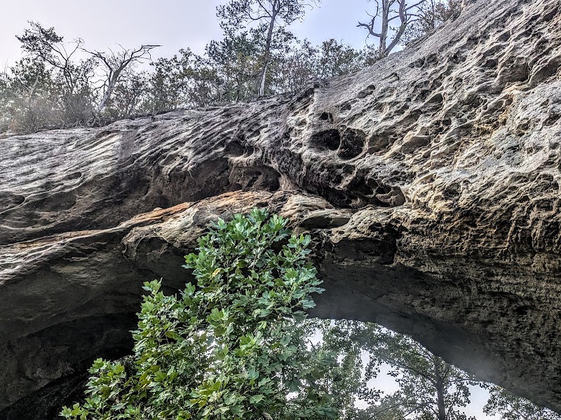Natural Arch Wonders: Parkers Lake surrounding landscape