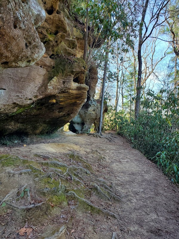 Natural Arch Wonder: Angel Windows Trailhead - Red River Gorge surrounding landscape