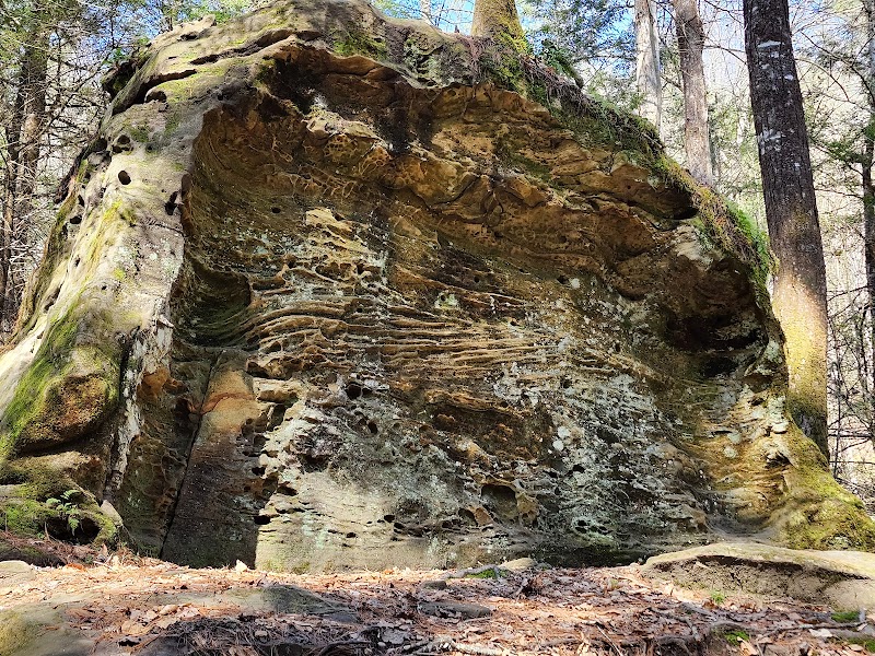 Creation Falls: A Tranquil Kentucky Escape surrounding landscape