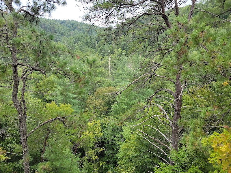 Creation Falls: A Tranquil Kentucky Escape outdoor detail