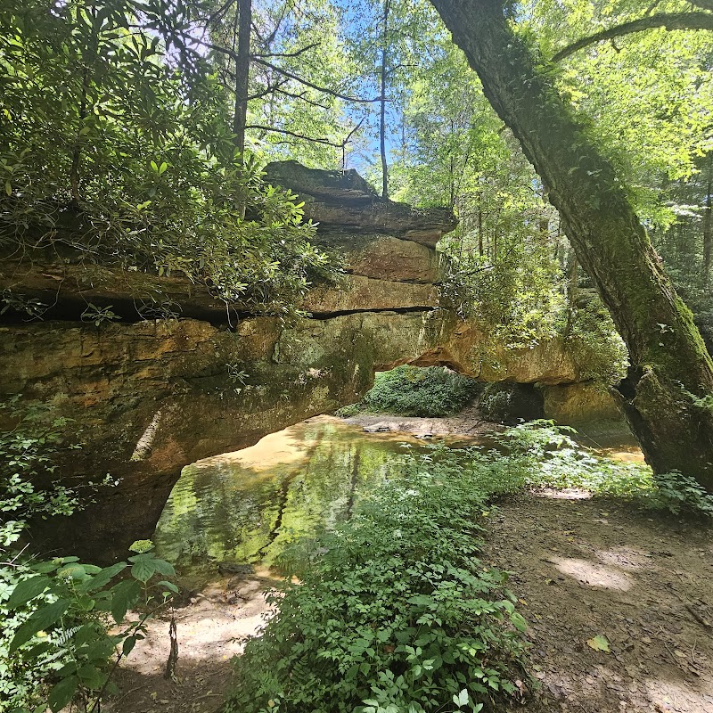 Creation Falls: A Tranquil Kentucky Escape - Creation Falls