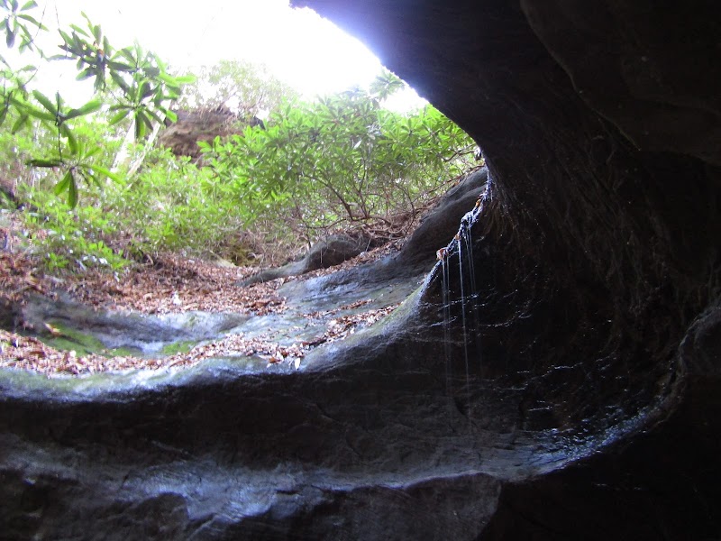 Hiking in Campton: Red-Byrd Arch outdoor detail