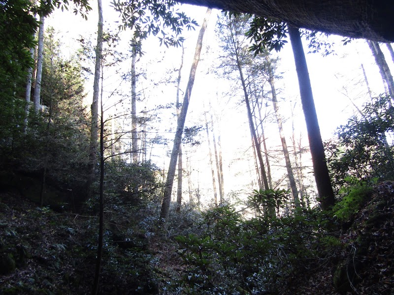 Hiking in Campton: Red-Byrd Arch surrounding landscape