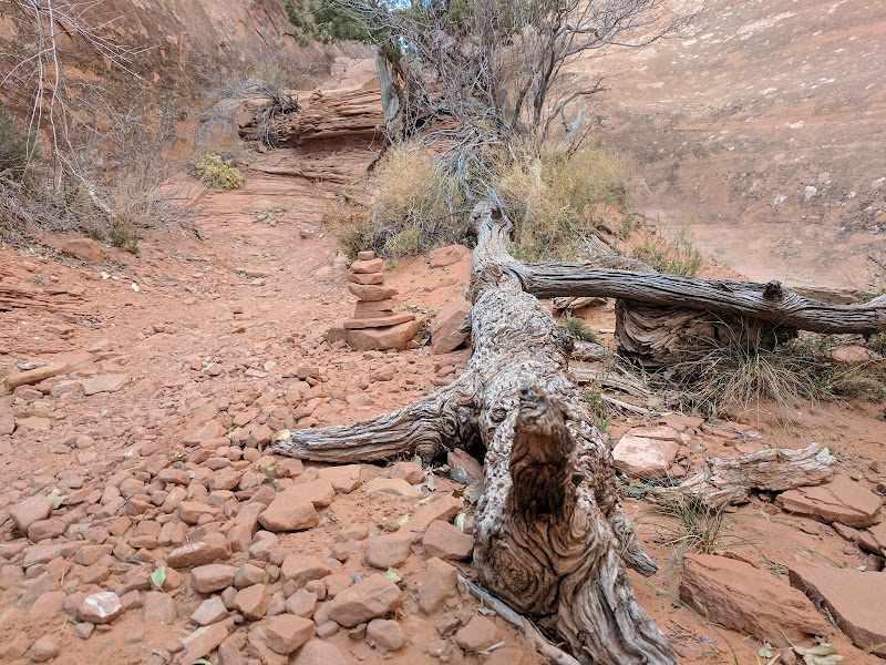 Marvels of the Red Rock: Tapestry Arch outdoor detail