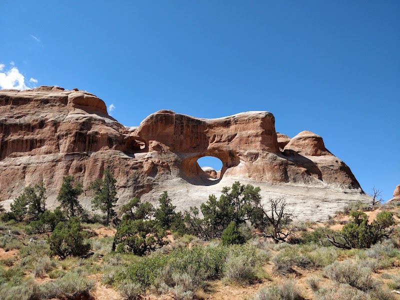 Natural Marvel: Pine Tree Arch surrounding landscape