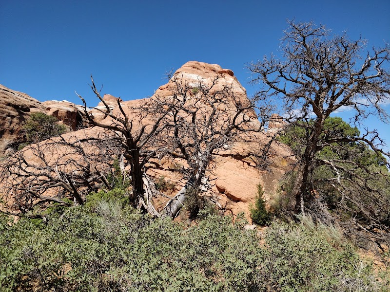 Tunnel Arch: A Natural Marvel in Arches National Park surrounding landscape