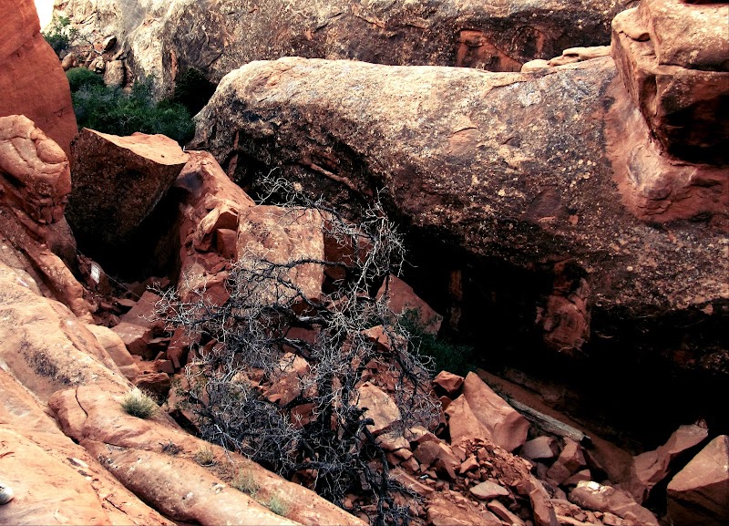 Discover the Wonders of Wall Arch surrounding landscape