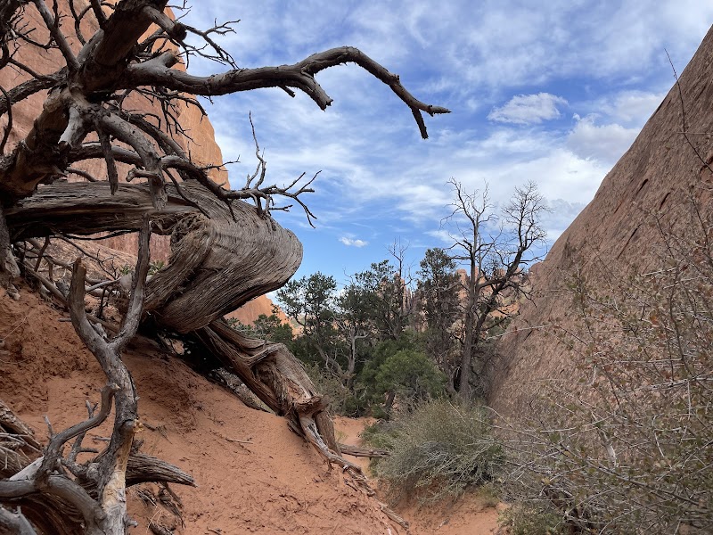 Discovering Private Arch: Moab's Hidden Gem surrounding landscape