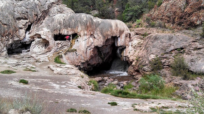 Majestic Marvel: Santa Fe National Forest outdoor detail