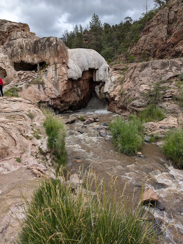 Majestic Marvel: Santa Fe National Forest - Santa Fe National Forest