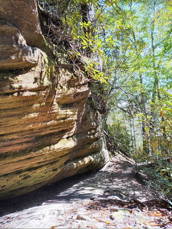 Red River Gorge: Nature's Wonder in Kentucky - Red River Gorge