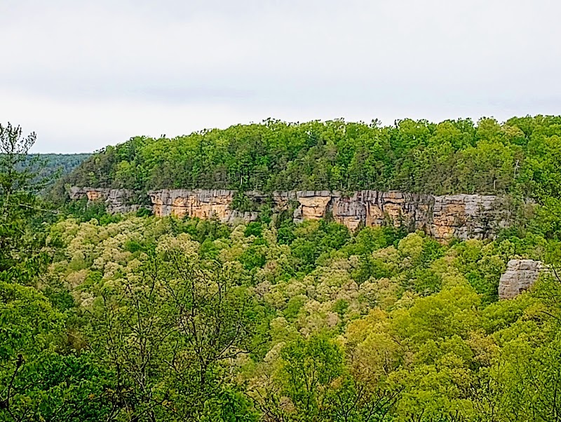 Red River Gorge: Nature's Wonder in Kentucky - Red River Gorge