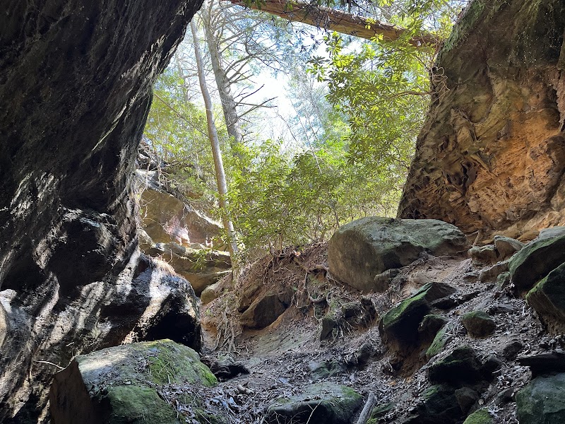 Red River Gorge: Nature's Wonder in Kentucky surrounding landscape