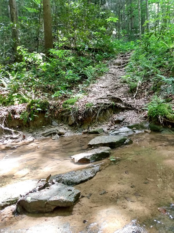 Rock Formations at PMRP: A Natural Wonder - Pendergrass Murray Recreational Preserve (PMRP)