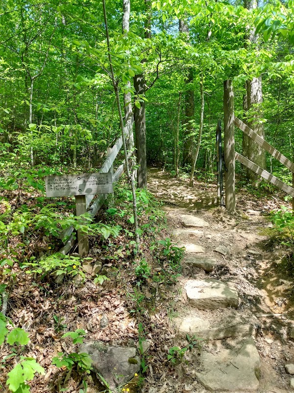 Rock Formations at PMRP: A Natural Wonder - Pendergrass Murray Recreational Preserve (PMRP)