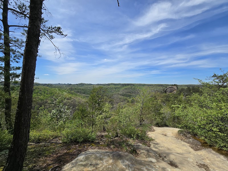 Courthouse Rock: Adventure in the Heart of Kentucky outdoor detail