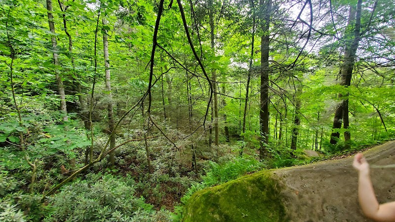 Natural Wonders: Natural Bridge Rock Feature outdoor detail