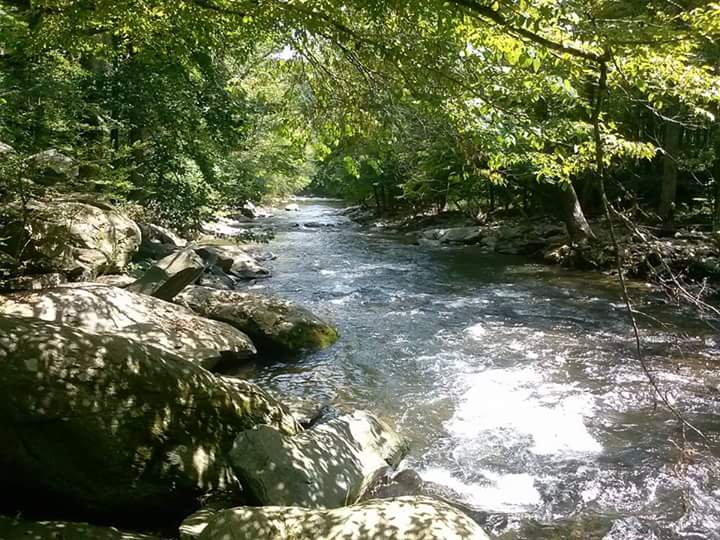White Water Thrills: Pigeon River - Pigeon River