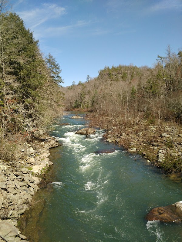 Nature's Serenity: Obed Wild And Scenic River - Obed Wild And Scenic River