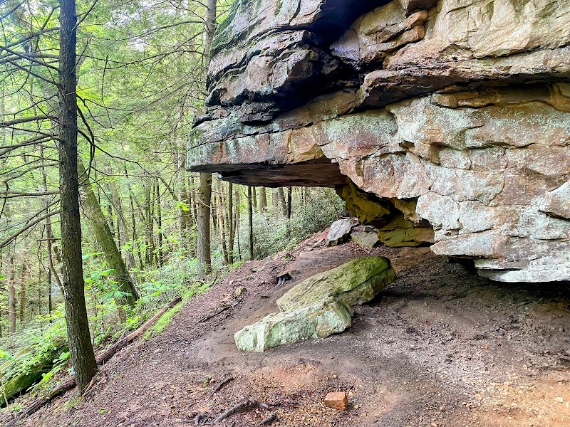 Nature's Serenity: Obed Wild And Scenic River - Obed Wild And Scenic River