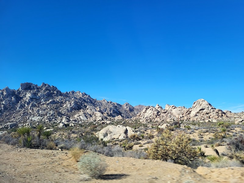 Desert Wonders of the Mojave National Preserve - Mojave National Preserve