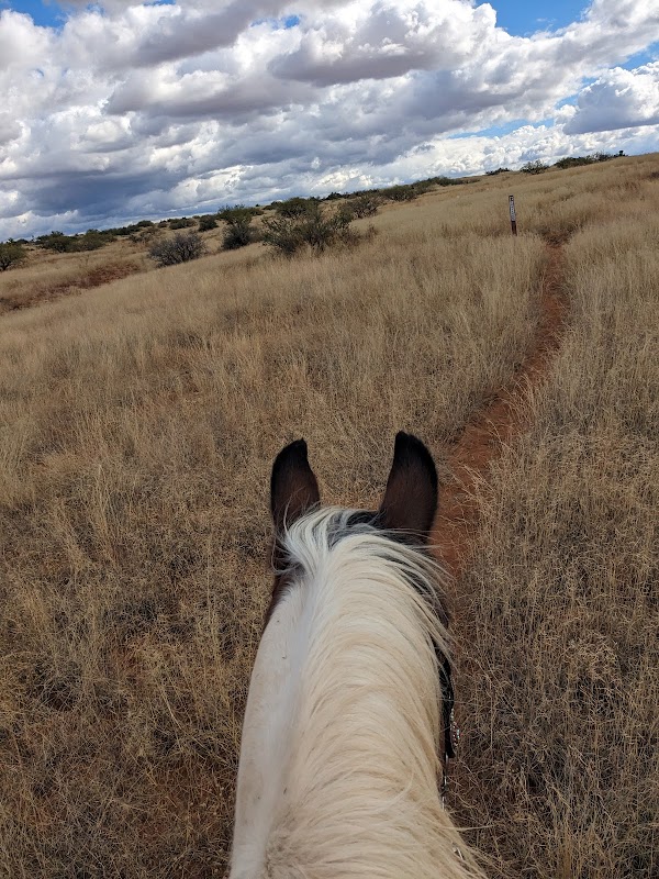 Discover Serenity at Tissaw Trailhead - Tissaw Trailhead