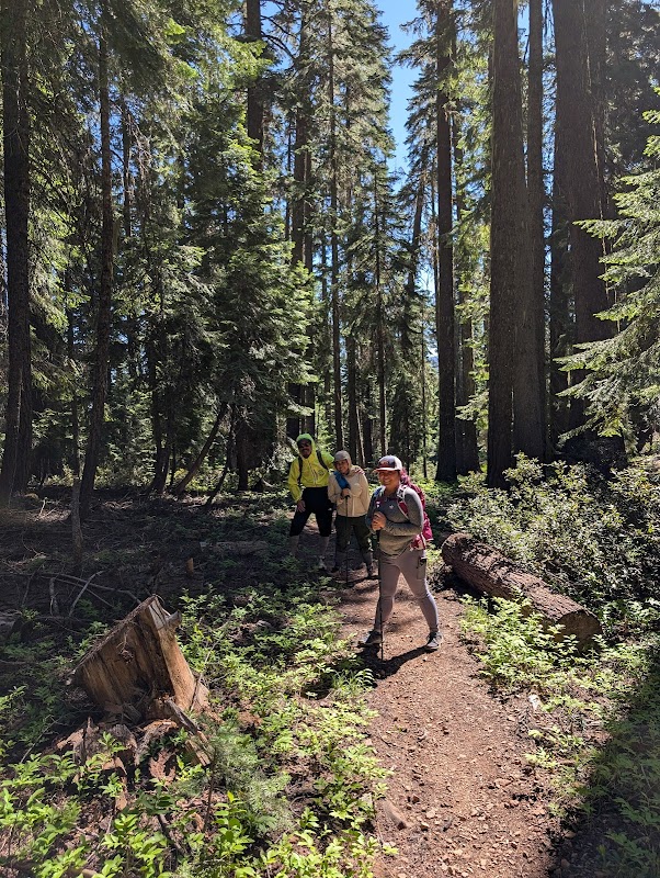 Discover the High Lakes Trailhead: Natural Beauty in Klamath Falls outdoor detail