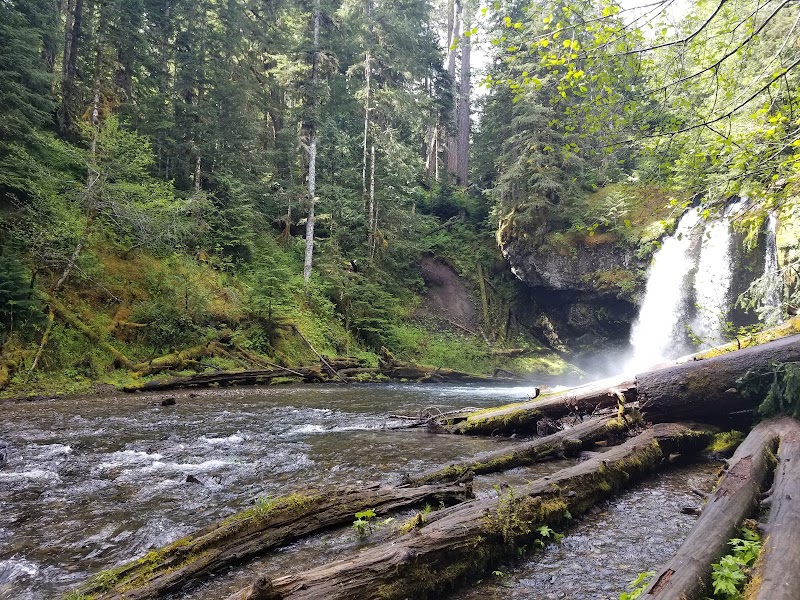 Iron Creek Falls: Nature's Gem of Washington outdoor detail
