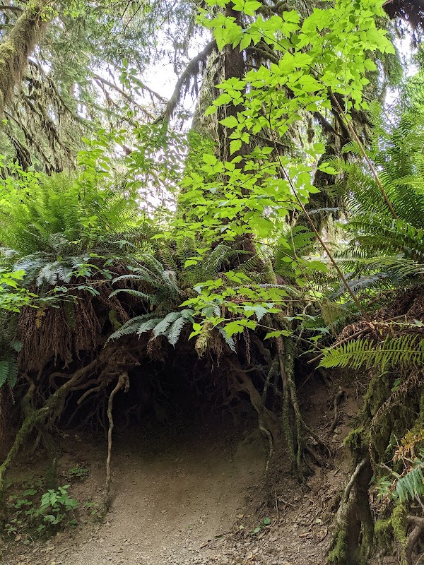 Cascading Beauty at Merriman Falls surrounding landscape