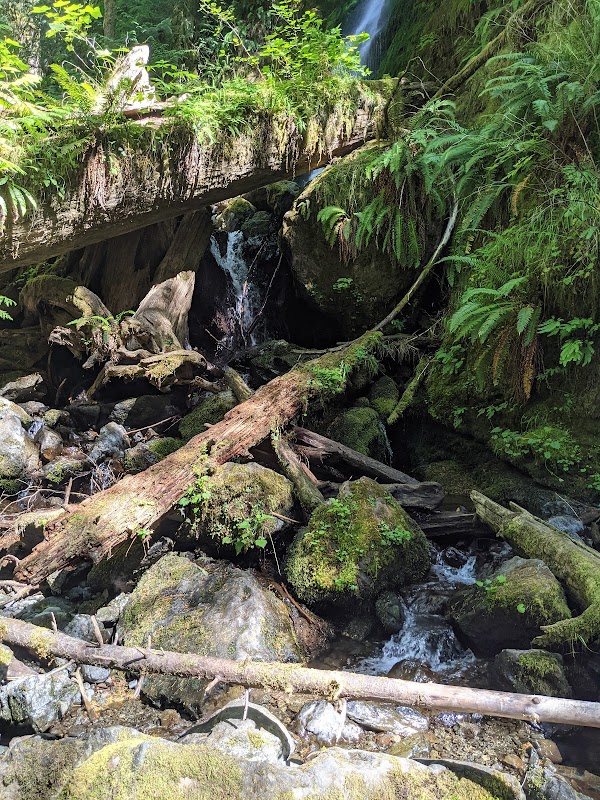 Cascading Beauty at Merriman Falls outdoor detail