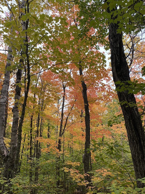 Treasures of Section 13: A Natural Retreat - Section 13 Camp