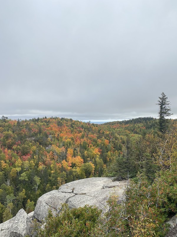 Treasures of Section 13: A Natural Retreat - Section 13 Camp