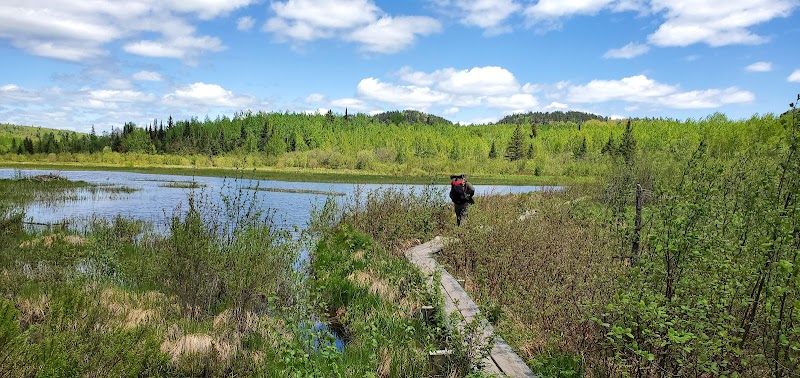 Treasures of Section 13: A Natural Retreat surrounding landscape