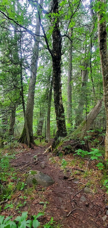 Trekking Through Minnesota's Superior Wilderness - Superior Hiking Trail