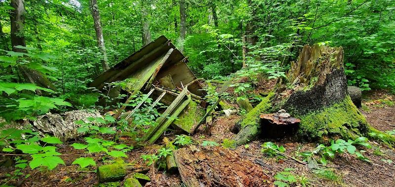 Trekking Through Minnesota's Superior Wilderness - Superior Hiking Trail