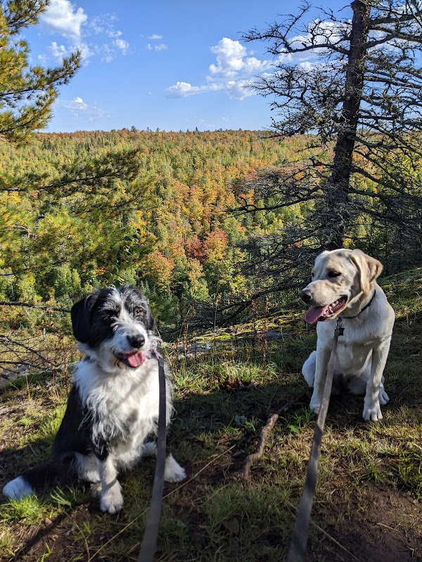 Trekking Through Minnesota's Superior Wilderness surrounding landscape