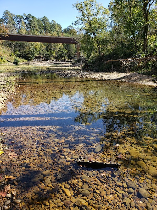 Scenic Beauty at Buffalo River Trailhead - Pruitt - Buffalo River Trailhead - Pruitt