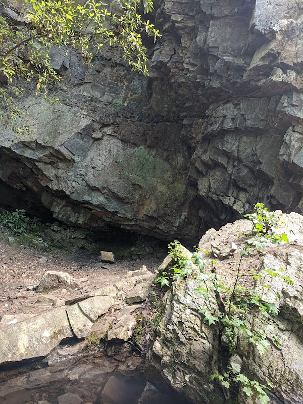 High Falls Fall: Nature's Retreat in Lineville, Alabama surrounding landscape